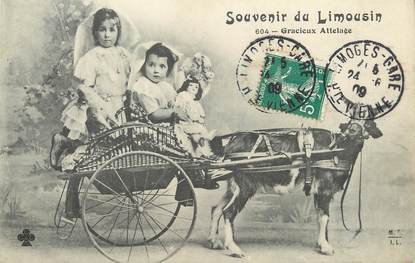 / CPA FRANCE 87 "Souvenir du Limousin, gracieux Attelage" / CHEVRE / ENFANTS