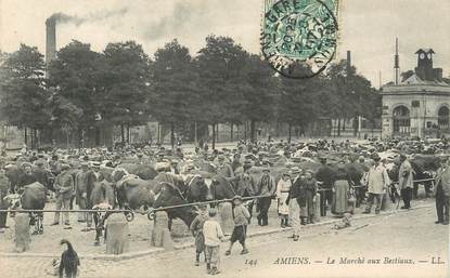 / CPA FRANCE 80 "Amiens, le marché aux Bestiaux"