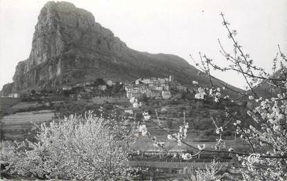 / CPSM FRANCE 06 "Saint Jeannet, cerisiers en fleurs"