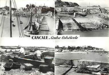 / CPSM FRANCE 35 "Cancale, centre ostreicole"