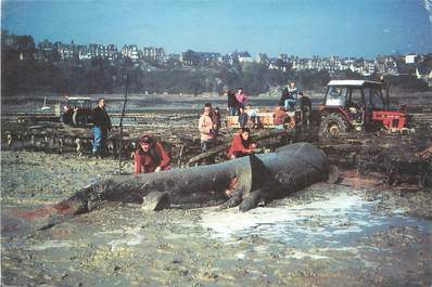 / CPSM FRANCE 35 "Cancale" / REQUIN 