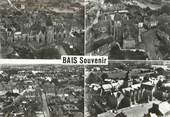 35 Ille Et Vilaine / CPSM FRANCE 35 "Bais Souvenir" / USAGE TARDIF