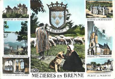 / CPSM FRANCE 36 "Environs de Mézières en Brenne"