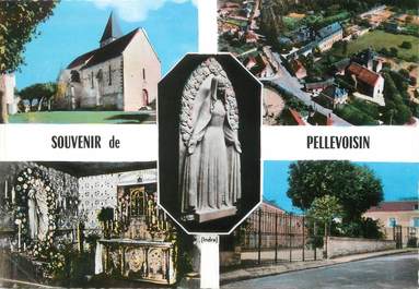 / CPSM FRANCE 36 "Souvenir de Pellevoisin"
