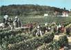 / CPSM FRANCE 37 'Les Vendanges à Bourgueil"