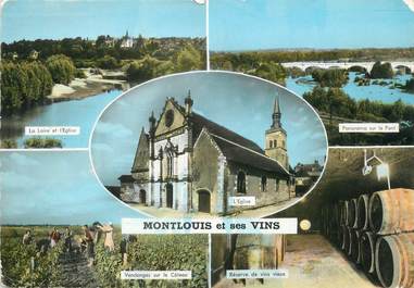 / CPSM FRANCE 37 "Montlouis et ses vins"