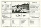 37 Indre Et Loire / CPSM FRANCE 37 "Bléré Est"