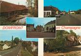 72 Sarthe / CPSM FRANCE 72 "Domfront en Champagne"