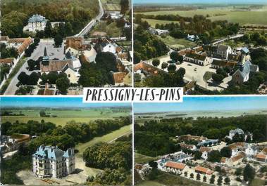 / CPSM FRANCE 45 "Pressigny Les Pins"