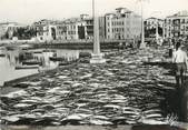 64 PyrÉnÉe Atlantique / CPSM FRANCE 64 "Saint Jean de Luz, les Thons sur le quai" / PÊCHE