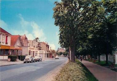 / CPSM FRANCE 77 "Combs La Ville, rue de la république, allée des Marronniers"