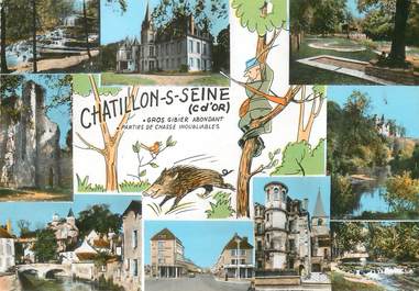 / CPSM FRANCE 21 " Chatillon sur Seine"