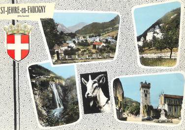 / CPSM FRANCE 74 " Saint Jeoire en Faucigny "