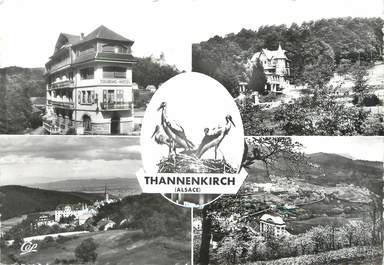/ CPSM FRANCE 68 "Thannenkirch"