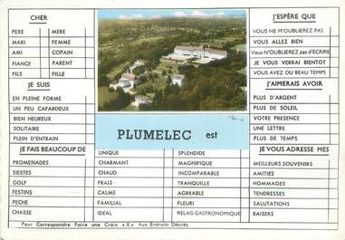 / CPSM FRANCE 56 "Plumelec"