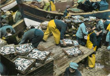 / CPSM FRANCE 56 "Quiberon, déchargement der la Sardine au port" / PÊCHE