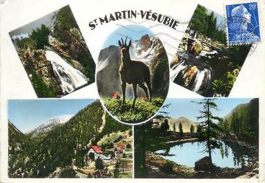 / CPSM FRANCE 06  "Saint Martin Vésubie" / CHEVRE