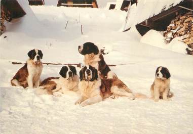 / CPSM FRANCE 38 "Corrençon en Vercors" / CHIEN SAINT BERNARD