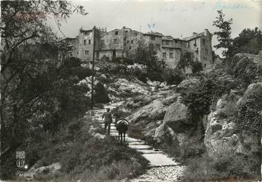 / CPSM FRANCE 06 "Tourrettes sur Loup"