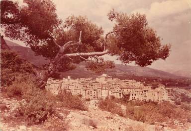 / CPSM FRANCE 06 "Tourrettes sur Loup, vue générale du vieux village"