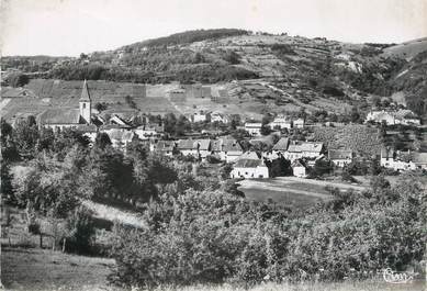 / CPSM FRANCE 39 "Mesnay, vue générale"