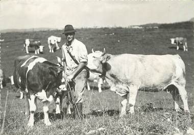 / CPSM FRANCE 39 "Pâturage du Haut Jura" / VACHE