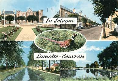/ CPSM FRANCE 41 "Lamotte Beuvron"