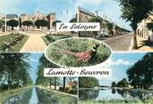 41 Loir Et Cher / CPSM FRANCE 41 "Lamotte Beuvron"