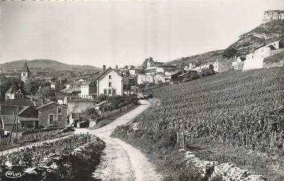 / CPSM FRANCE 71 "Solutré Pouilly, ses vignobles"