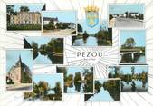 41 Loir Et Cher / CPSM FRANCE 41 "Pezou "