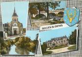 41 Loir Et Cher / CPSM FRANCE 41 "Selles Saint  Denis"