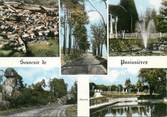 42 Loire / CPSM FRANCE 42 "Souvenir de Panissières"