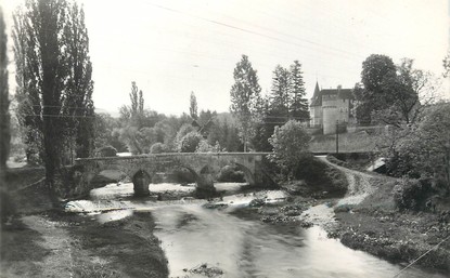 / CPSM FRANCE 39 "Domblans, le château et le pont sur la Seille"