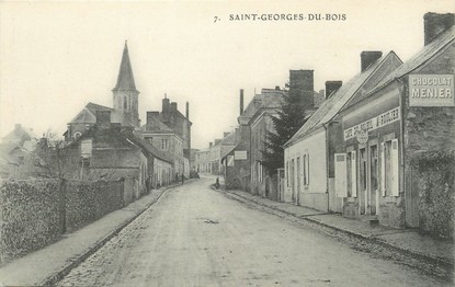 / CPA FRANCE 72 "Saint Georges du Bois"