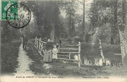 CPA FRANCE 80 "Forêt de Crécy"