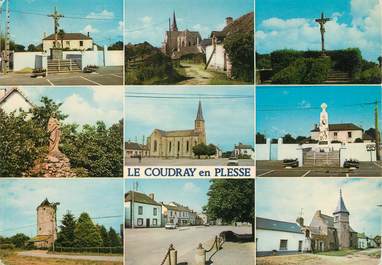 / CPSM FRANCE 44 "Le Coudray en Plesse"