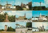 44 Loire Atlantique / CPSM FRANCE 44 "Le Coudray en Plesse"