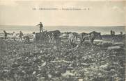 29 Finistere / CPA FRANCE 29 "Perros Guirec, récolte du Goëmon" / ATTELAGE