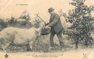 24 Dordogne / CPA FRANCE 24 "Groupe sympathique cherchant la truffe" / COCHON