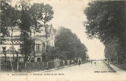 CPA FRANCE 80 "Bois de Cisé, grande avenue du Bois"