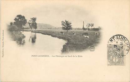 / CPA FRANCE 27 "Pont Audemer, les pâturages au bord de la Risle"