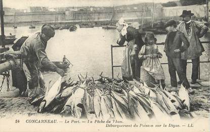 / CPA FRANCE 29 "Concarneau, le port, la pêche du Thon"