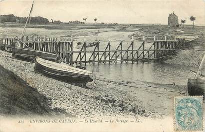 CPA FRANCE 80 "Env. de Cayeux, le Hourdel"