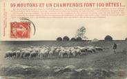 10 Aube / CPA FRANCE 10 "99 moutons et un Champenois font 100 bêtes"