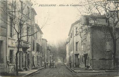 / CPA FRANCE 13 "Pelissanne, allées de Crapponne"