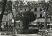 13 Bouch Du Rhone / CPSM FRANCE 13 "Salon, la Fontaine Moussue "