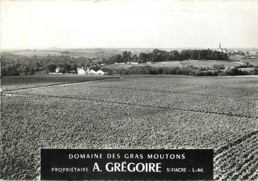 / CPSM FRANCE 44 "Saint Fiacre, domaine des Gras Moutons"