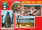 45 Loiret / CPSM FRANCE 45 "Ouzouer sur Loire "