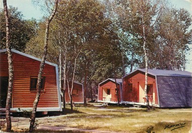 / CPSM FRANCE 45 "Chilleurs aux bois, Neuville aux Bois, les bungalows"