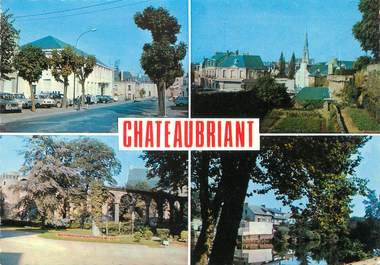 / CPSM FRANCE 44 "Châteaubriant"